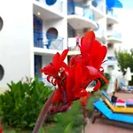 Marina - Vega Village * Sveti Vlas