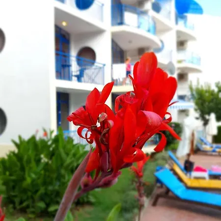 Marina - Vega Village * スヴェティ・ヴラス