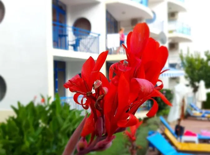 Marina B40 * Sveti Vlas